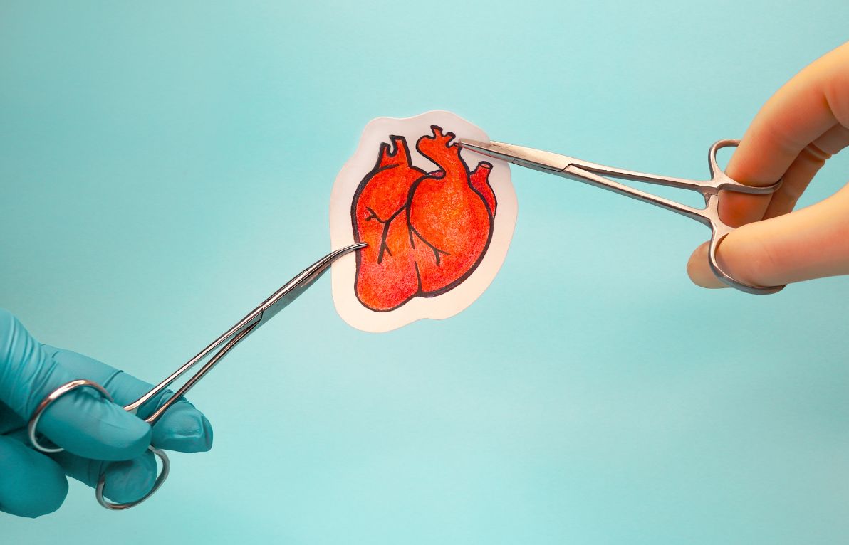 Aortic Valve Repair and Replacement Surgery