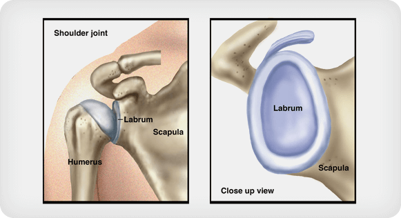 What is Labrum injury - Apollo Hospital