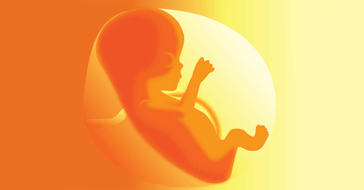 what-are-foetal-movements-apollo-hospitals-mumbai-blog